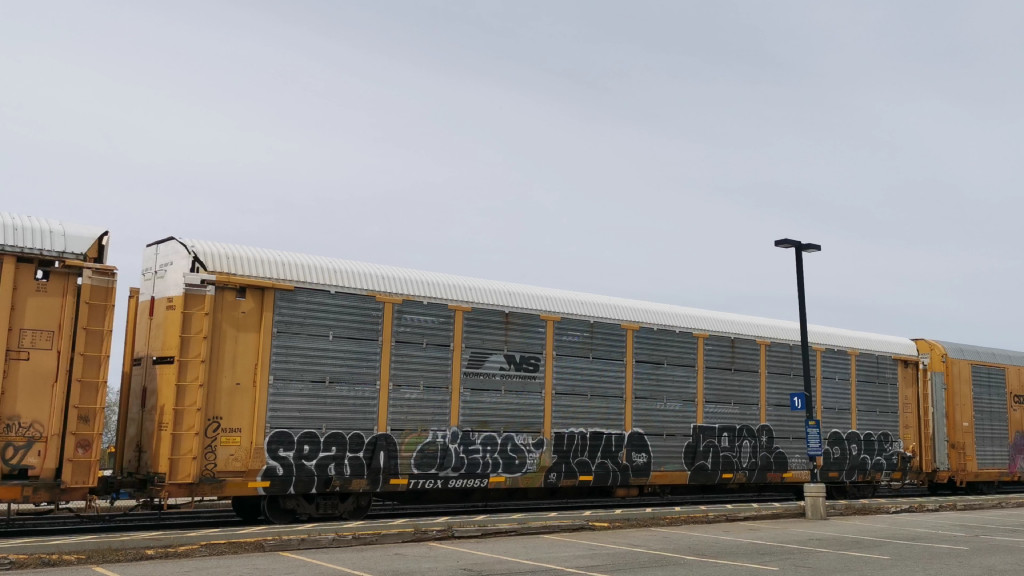 NS 28474 (Body) TTGX 981953 (Flat)